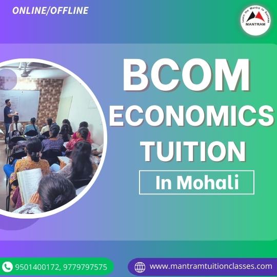 bcom-economics-tuition-in-mohali