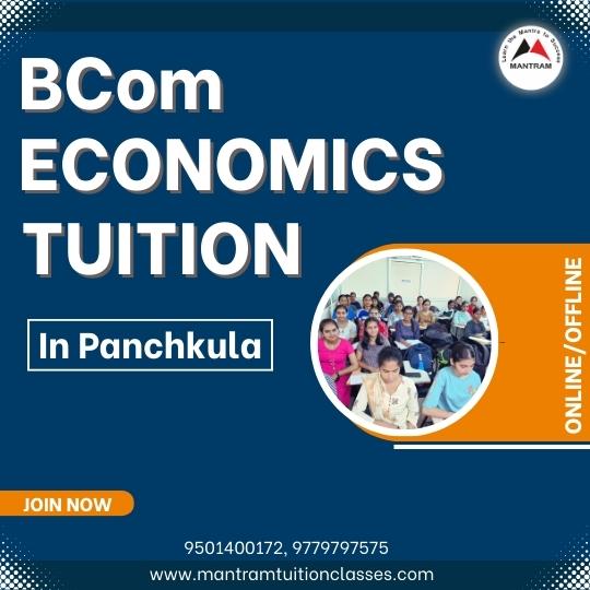 bcom-economics-tuition-in-panchkula