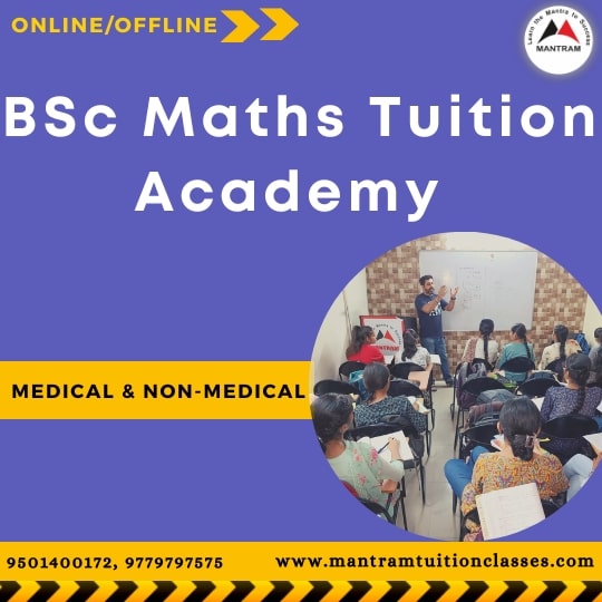 bsc-maths-tuition-academy
