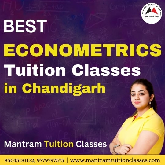 best-econometrics-tuition