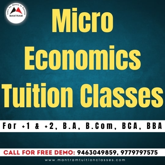 find-the-best-micro-economics-tuition