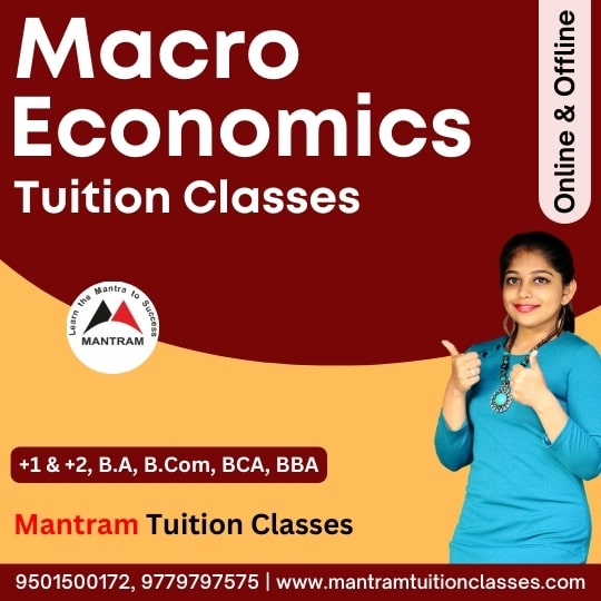 Macro Economics Tuition