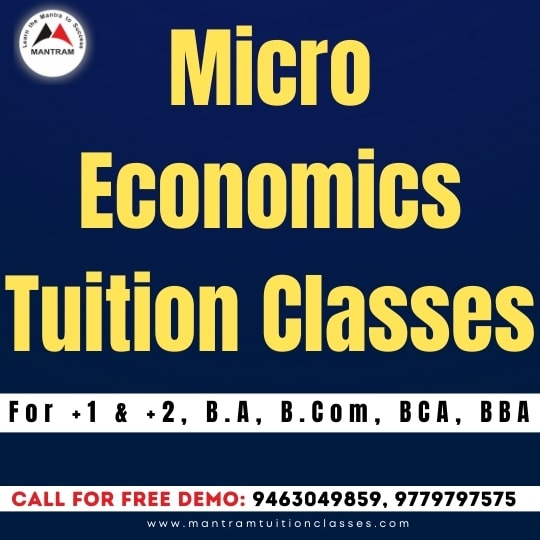 micro-economics-tuition-fees