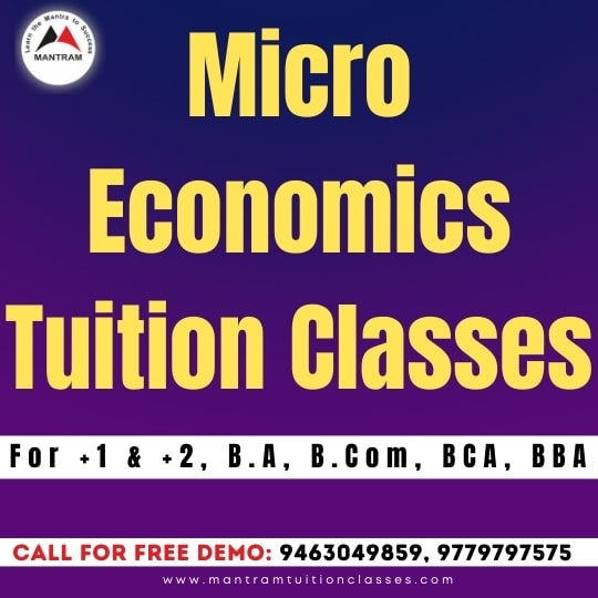 micro-economics-tuition-near-me