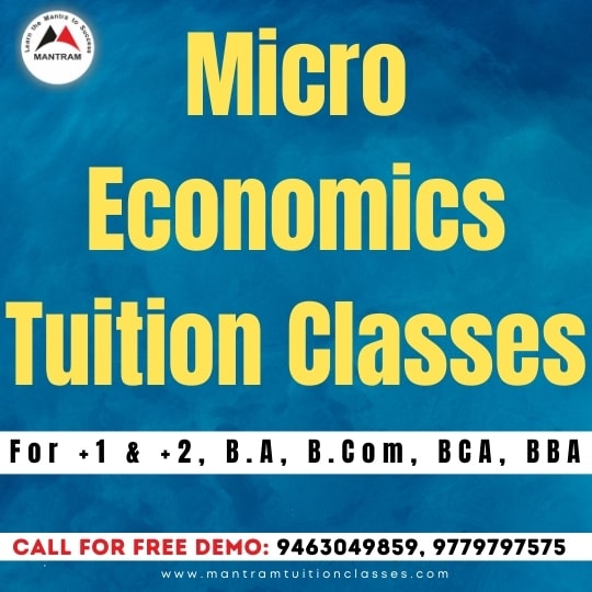 micro-economics-tuition